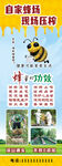 自产蜂蜜海报