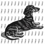 趴着的斑纹小狗插画