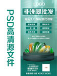 非洲翠海报设计