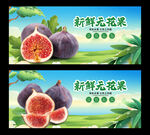 无花果