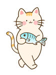 抱鱼的可爱猫咪