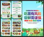 预防野生菌中毒展板