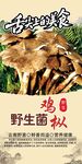 野生菌海报