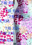 矢量花