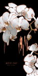 优雅白兰花玄关装饰画