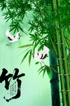 竹子插画