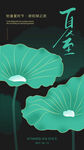 夏至 节气 海报