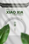 小暑节气传统活动海报