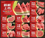 西瓜