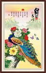 孔雀牡丹图