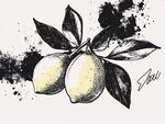 手绘柠檬插画