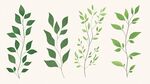 四种清新绿叶植物插画