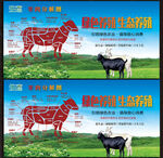 羊肉分解图