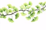 嫩绿银杏枝 清新自然美