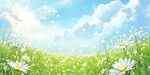 春日雏菊草地阳光美景