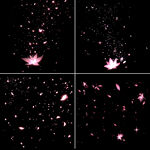 4套花瓣纷飞免扣背景素材