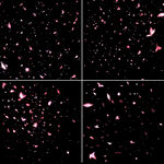 4套花瓣纷飞免扣背景素材