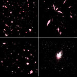 4套花瓣纷飞免扣背景素材