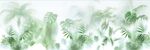 雾气磨砂膜效果绿植贴图