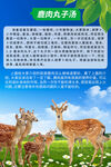 美味鹿肉汤
