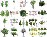 免扣高清景观树莲花植物花卉贴图