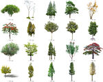 免扣高清景观树莲花植物花卉贴图