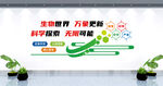 生物文化墙