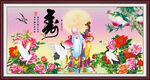 老寿星