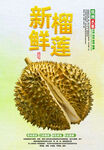 榴莲