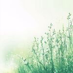 清新绿意草地梦幻背景图