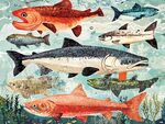 多彩海洋鱼类插画展示
