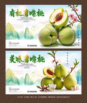 鹰嘴桃