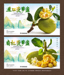 菠萝蜜