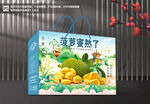 菠萝蜜包装盒