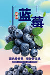 蓝莓