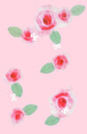 玫瑰花