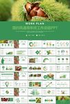 营养美食美味板栗种植宣传PPT
