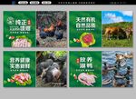 家禽生鲜