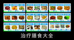 治疗膳食大全展示图