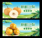沙梨