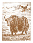 西藏牦牛图绘