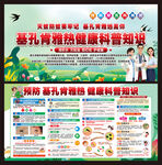 基孔肯雅热