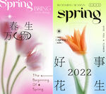 花海报