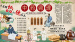 中药调理养生背景墙