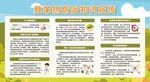 夏季预防疾病登革热与防蚊展板