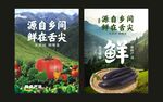 新鲜蔬菜