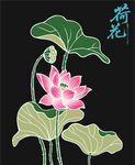 矢量荷花