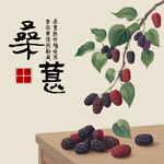 手绘桑葚