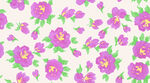 雌花