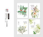 陌上花开